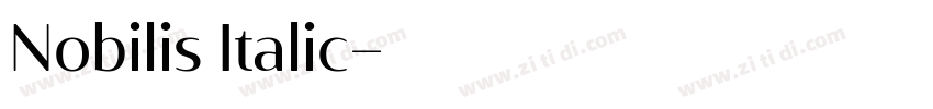 Nobilis Italic字体转换